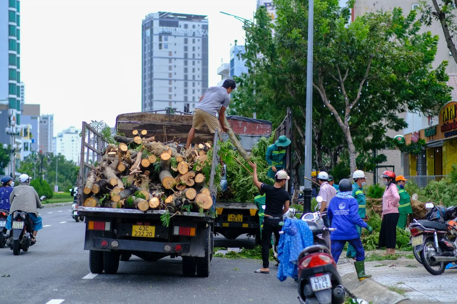 Workers loading tree debris for cleanup work